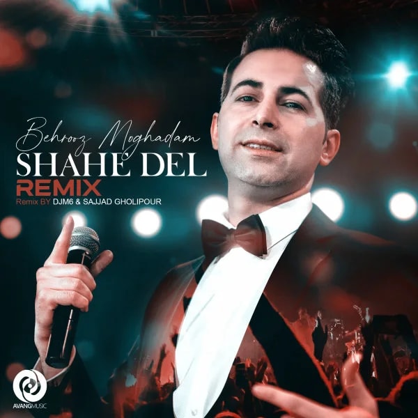 Behrooz Moghadam - Shahe Del (Remix)