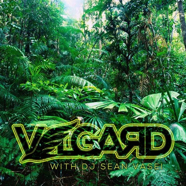 Sean Vasei - Velgard 11