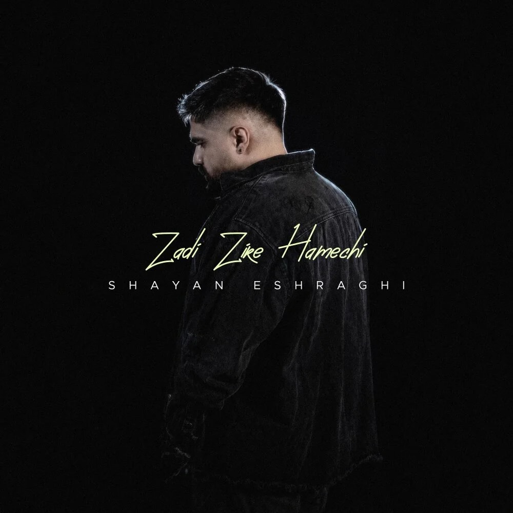 Shayan Eshraghi - Zadi Zire Hamechi