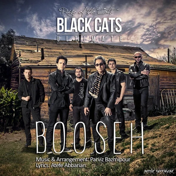 Black Cats - Booseh