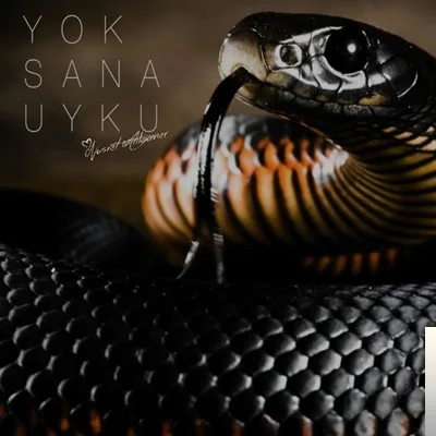Nusret Atılganer - Yok Sana Uyku