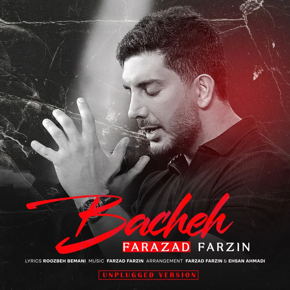 Farzad Farzin - Bacheh (Unplugged)