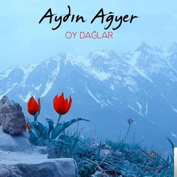 Aydın Ağyer - Ali Deyince