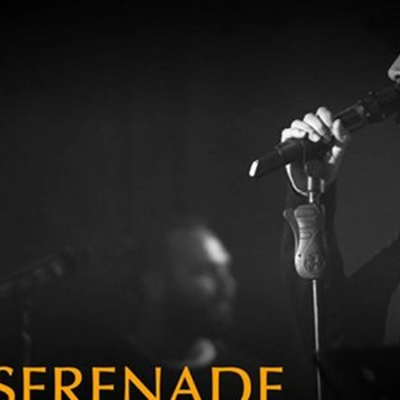 Dang Show - Night Serenade (Radio Edit)