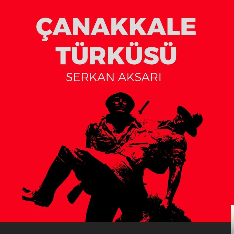Serkan Aksarı - Demedim Mi