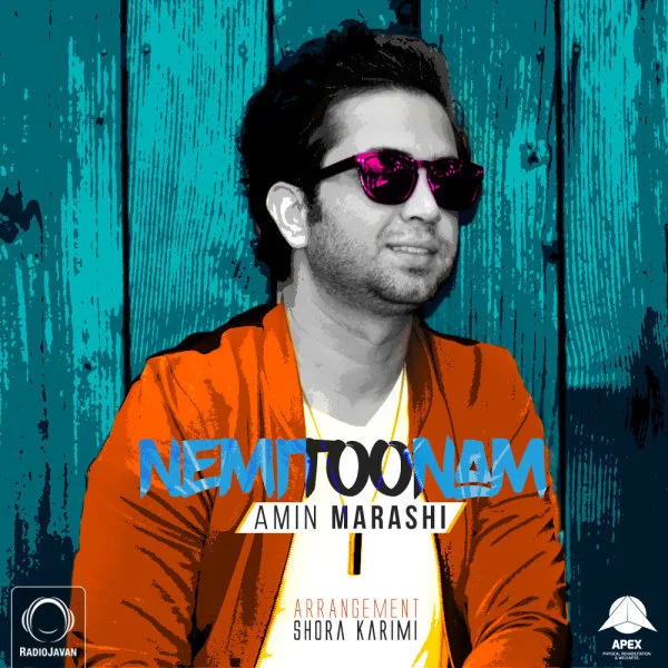 Amin Marashi - Nemitoonam