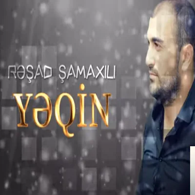 Reşad Şamaxılı - Yeqin