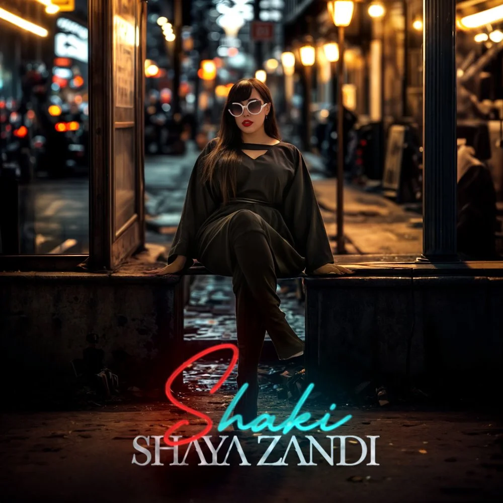 Shaya Zandi - Nemidooni