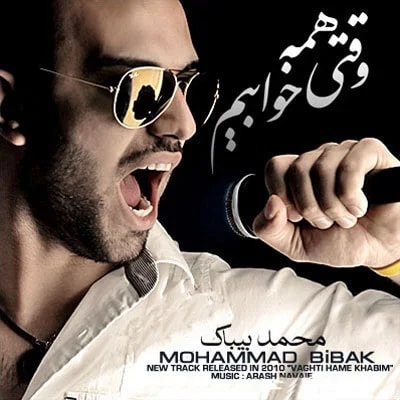 Mohammad Bibak - Vaghti Hame Khaabim