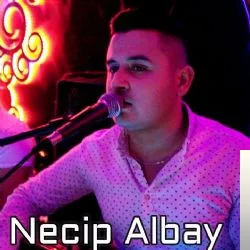 Necip Albay - Yüce Dağlarıda Yol Diye Geldim