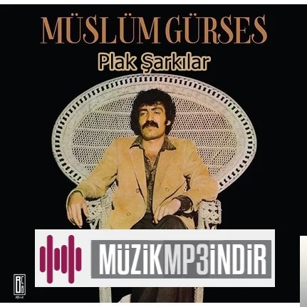 Müslüm Gürses - Çığlık (Plak)