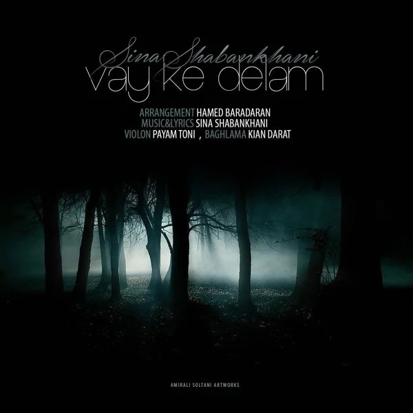 Sina Shabankhani - Vay Ke Delam