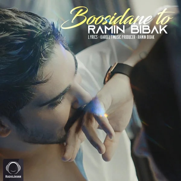 Ramin Bibak - Boosidane To