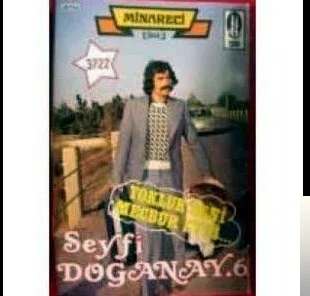Seyfi Doğanay - Olmuyor