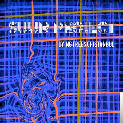 Suur Project - Curved Path