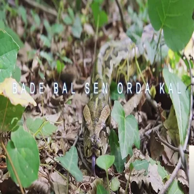 Bade Bal - Sen Orda Kal