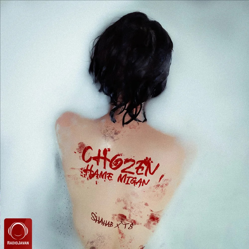 Chozen - Hame Migan