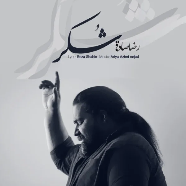 Reza Sadeghi - Shokr