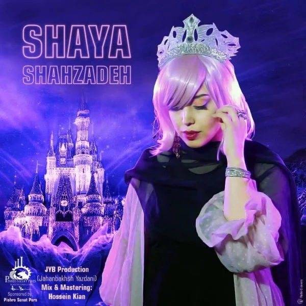 Shaya Zandi - Shahzadeh