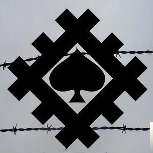 Gio Pika - Black Dolphin