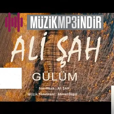 Ali Şah - Gülüm