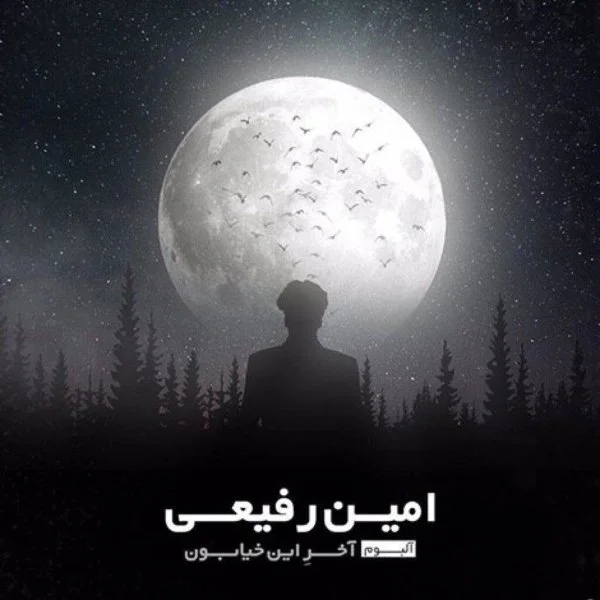 Amin Rafiee - Traffic