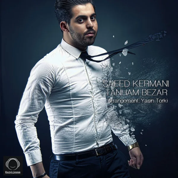 Saeed Kermani - Tanham Bezar