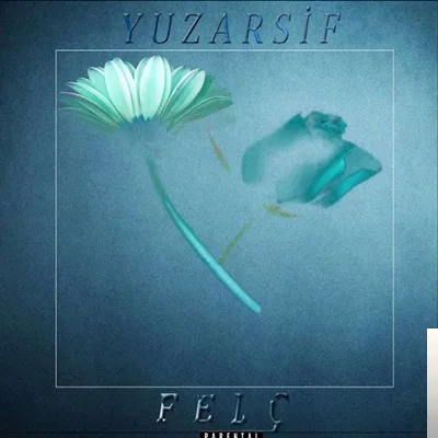 Yuzarsif - Anason