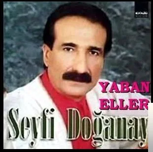 Seyfi Doğanay - Geri Gel