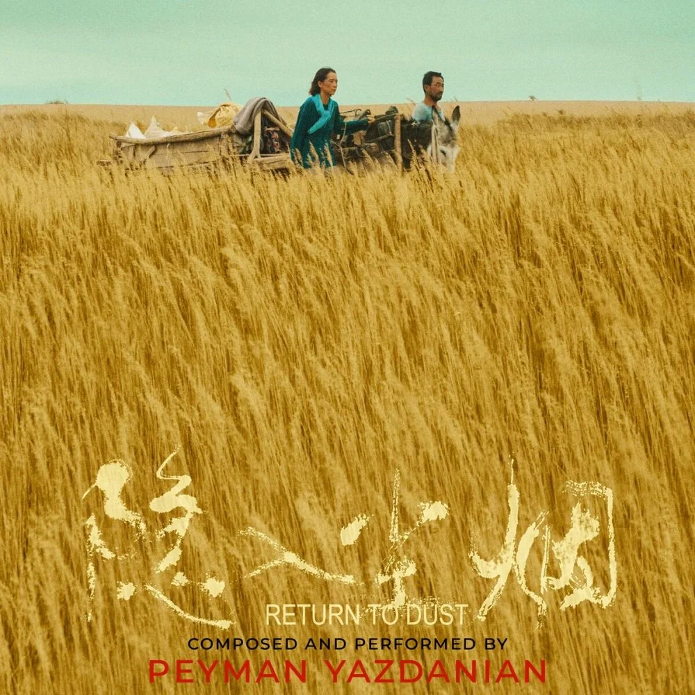 Peyman Yazdanian - Apology