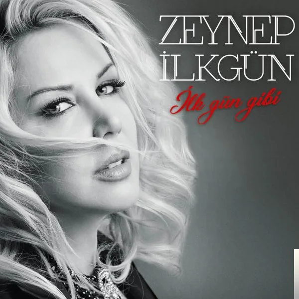 Zeynep İlkgün - Son Karar