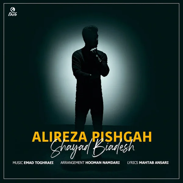 Alireza Pishgah - Shayad Biadesh