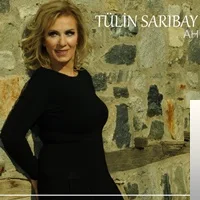 Tülin Sarıbay - Sevinç