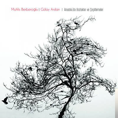 Gülay Arslan - feat Muhlis Berberoğlu-Gafil Gezme Şaşkın