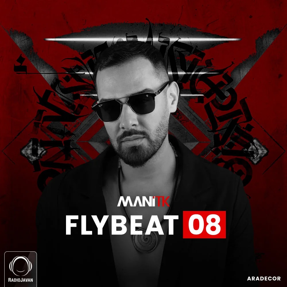 DJ Mani TK - Flybeat 8