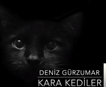 Deniz Gürzumar - Kara Kediler