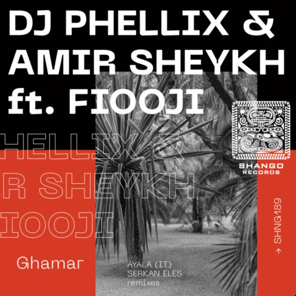 DJ Phellix - Roye To - VIP Mix