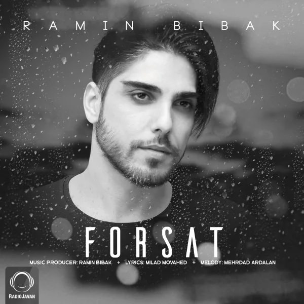 Ramin Bibak - Forsat
