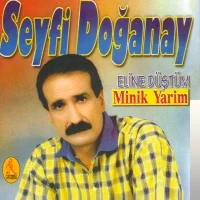 Seyfi Doğanay - Gardaş