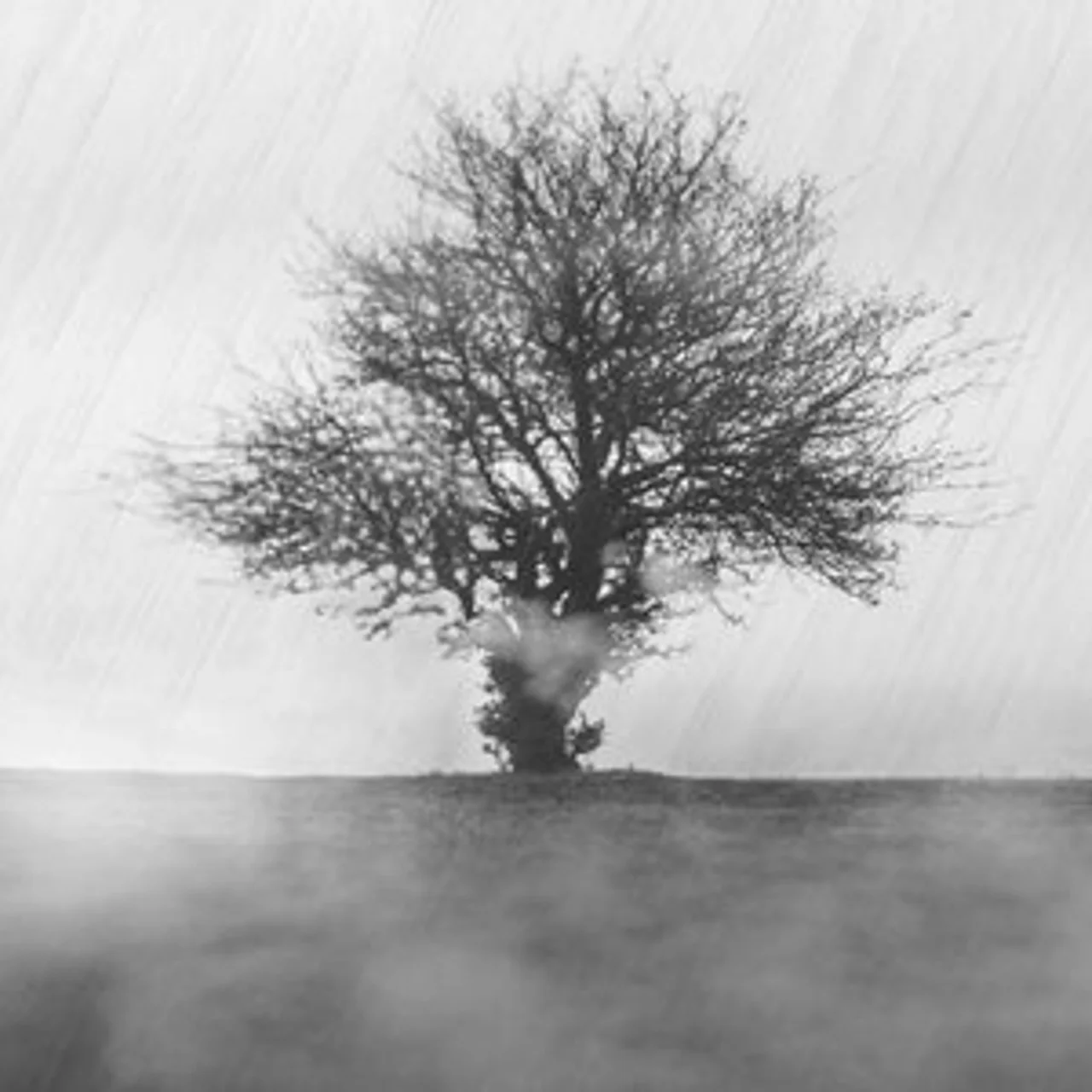 Ehaam - Tamaame Naatamaam