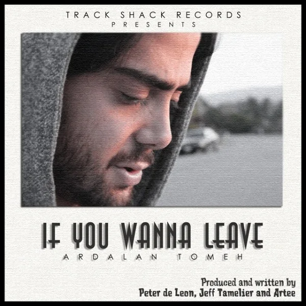Ardalan Tomeh - If You Wanna Leave