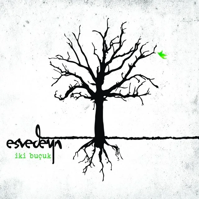 Esvedeyn - Lazım Değil