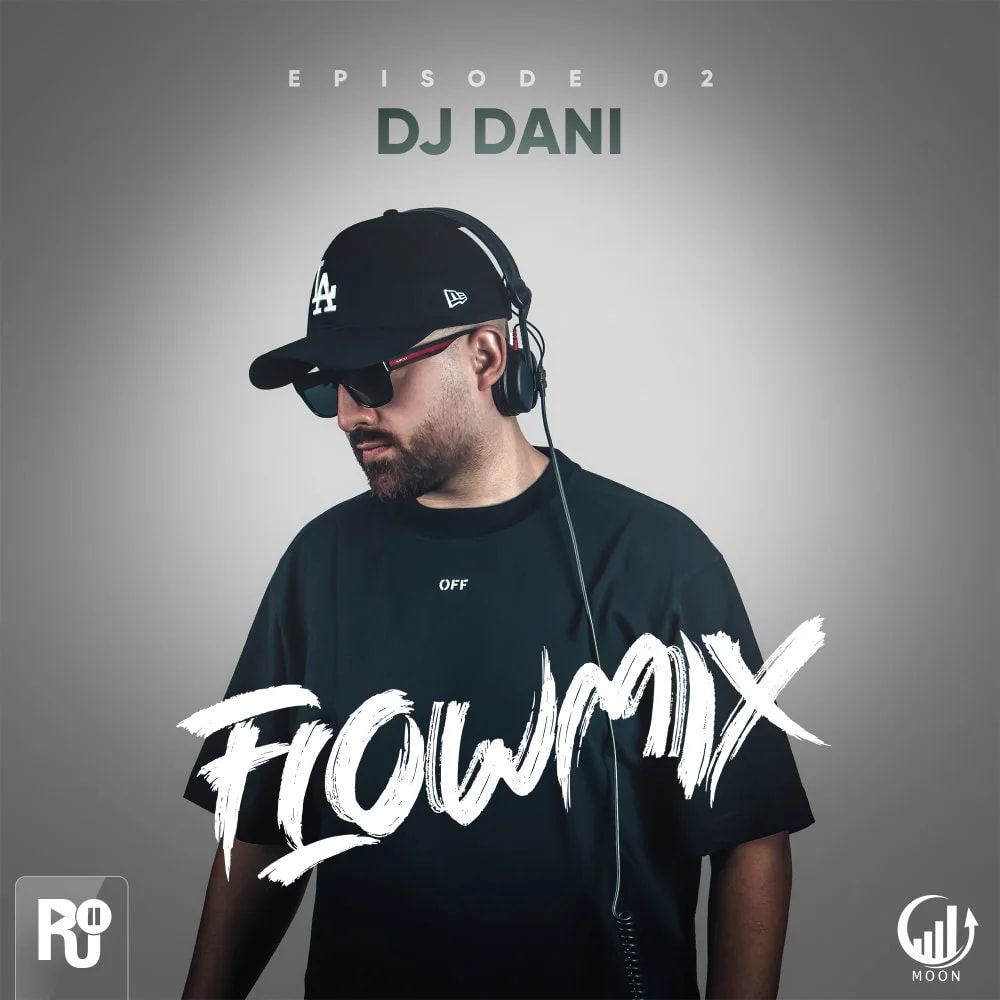 DJ Dani - Flowmix 2