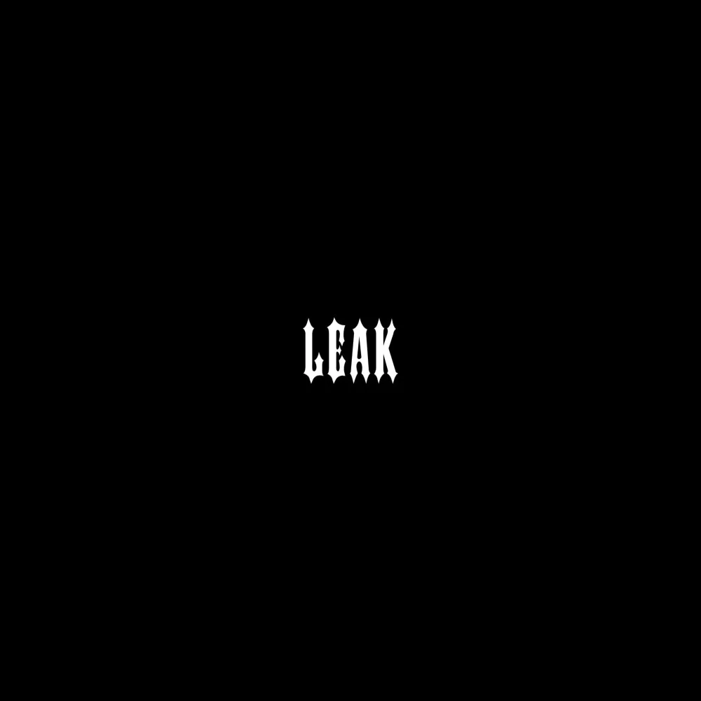 Young Sudden - Leak