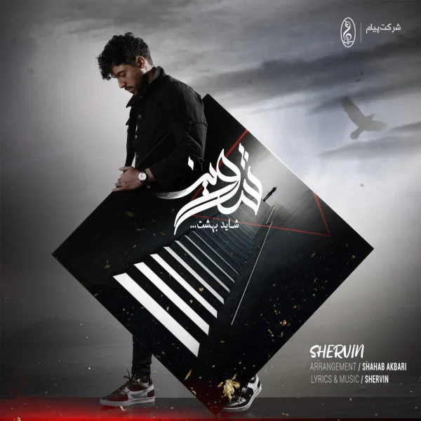 Shervin Hajipour - Shayad Behesht