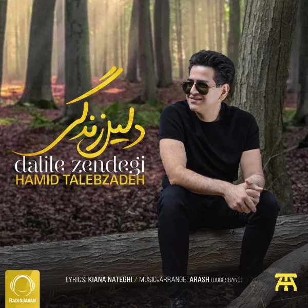 Hamid Talebzadeh - Dalile Zendegi