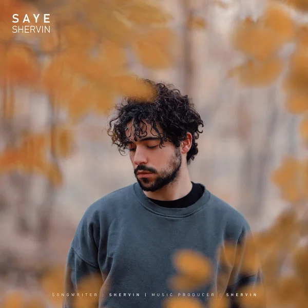 Shervin Hajipour - Saye