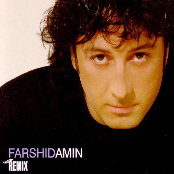 Farshid Amin - Leila (Remix)