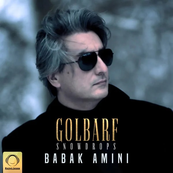 Babak Amini - Golbarf
