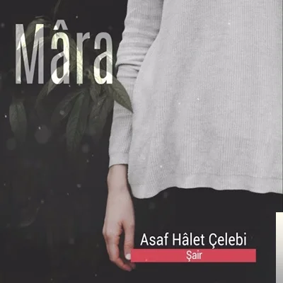 Asaf Halet Çelebi - Tahtadan Yaptığım Adam